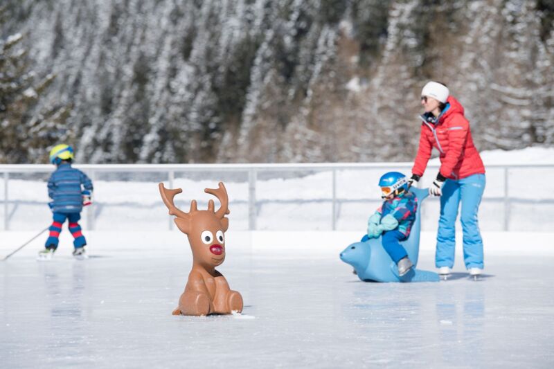 Eislaufen, Eisstockschiessen und Eishockey