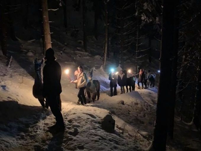 Lama- & Alpakatrekkingtour