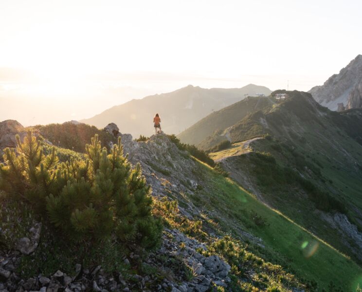 Wandern & Führungen